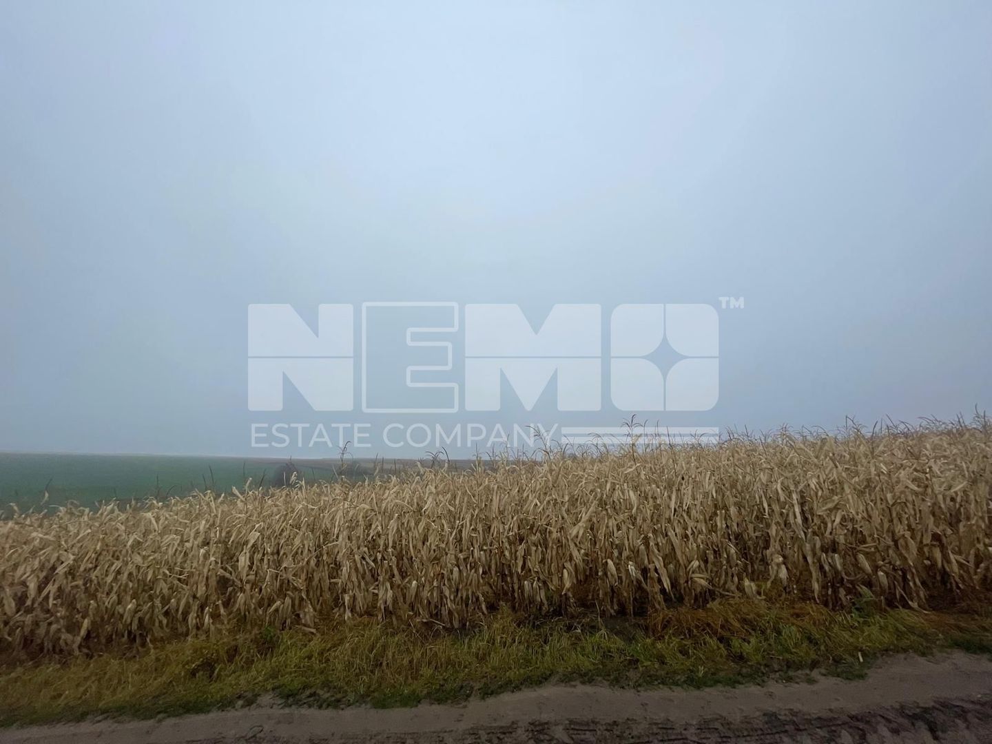 TEREN EXTRAVILAN | DOUA PARCELE 2.84 HA| IDEAL AGRICOL | DARMANESTI - Poză 20