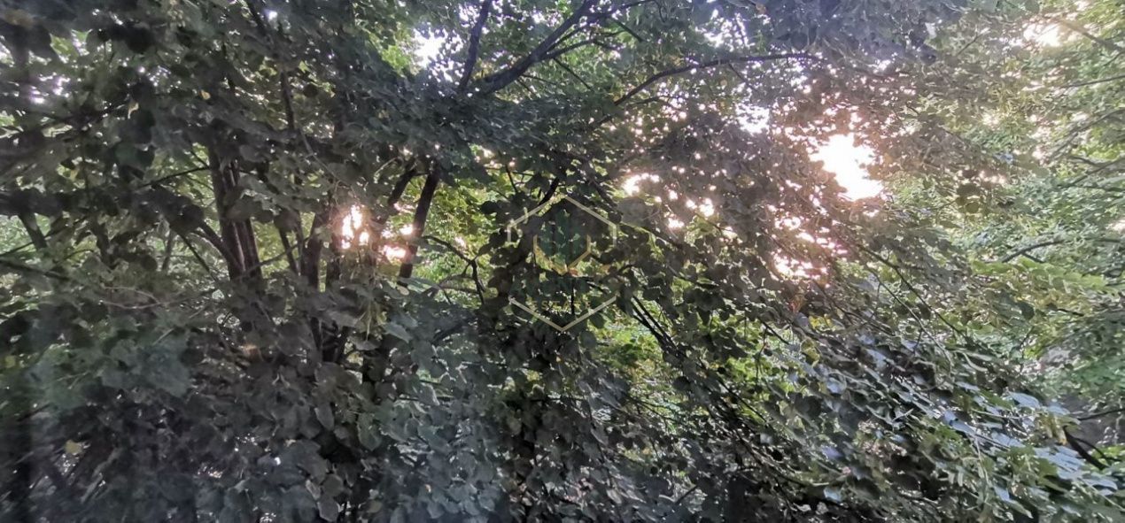 Inchiriere apartament 2 camere, intersectia Iancului - Poză 5