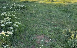 ⭐  Teren de 2.700 mp cu front generos – Ocazie în Oncea - Poză 21