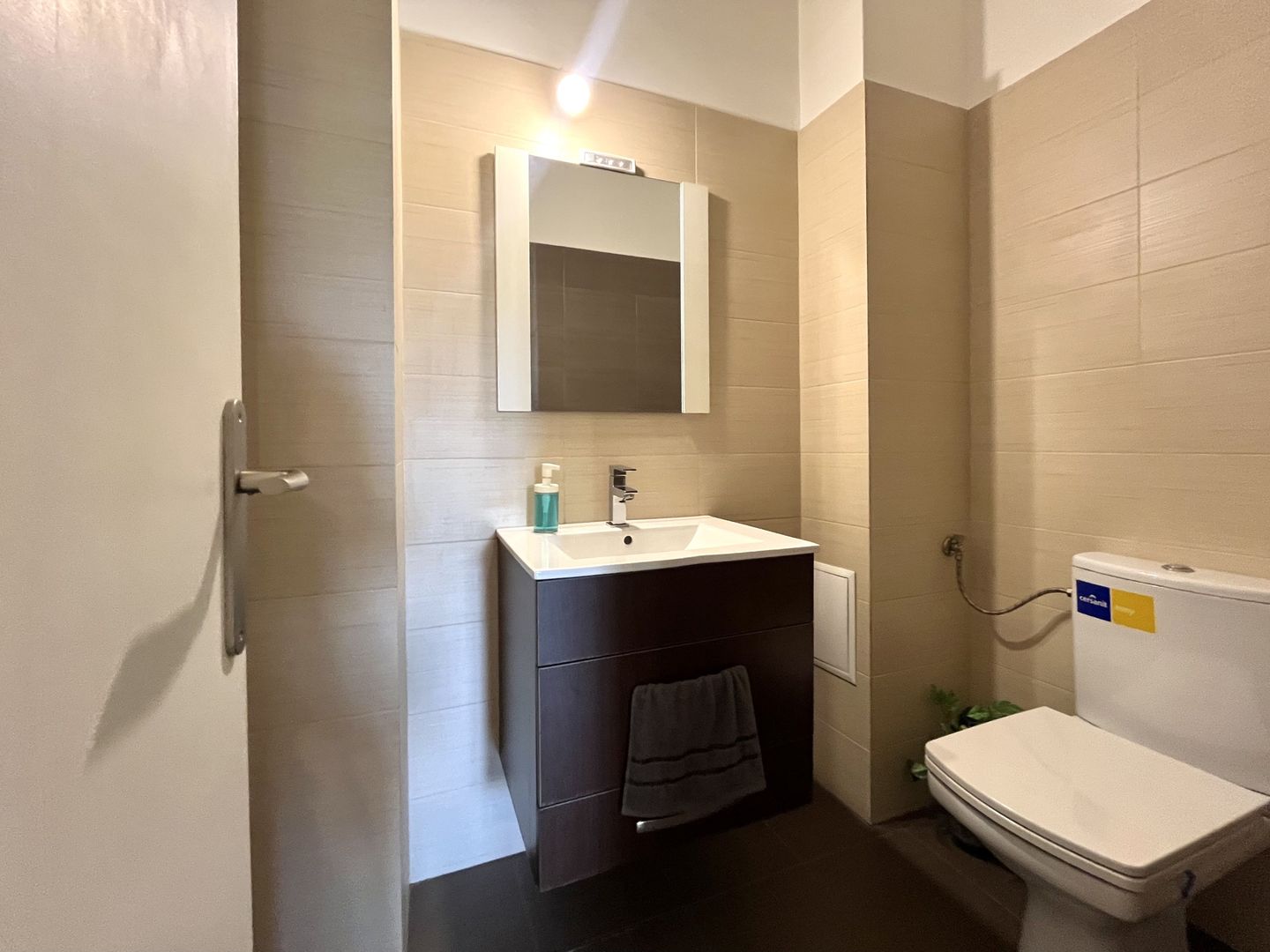 Apartament deosebit cu 3 camere, garaj, cu vedere unică la râul Bega - Poză 20