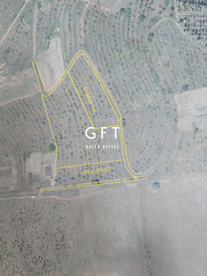 Teren extravilan Sarata 4400 mp /1250 euro - Poză 1