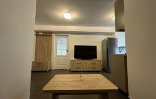 Apartament mobilat tip Studio Delta Vacaresti