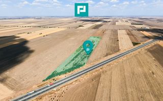 Teren agricol 63.593 mp , Pecica - Poză 1
