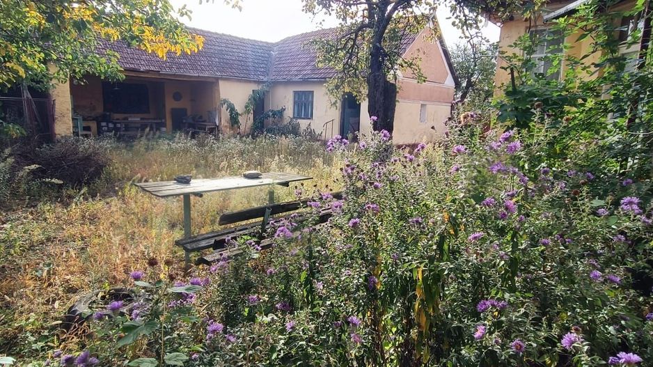 🏡  Casă de Poveste în Șiria, Arad- Locație Rară - Poză 1