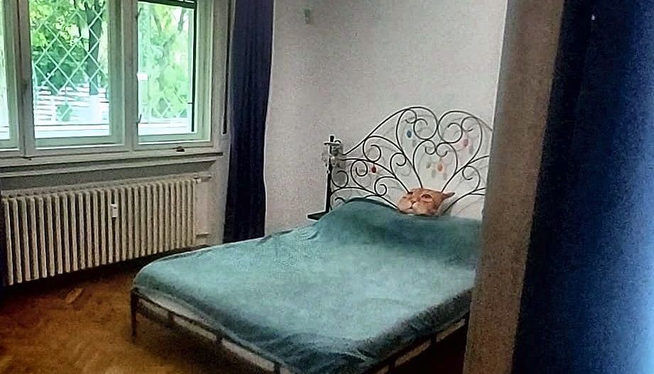 Apartament 2 camere mobilat & utilat - Poză 3