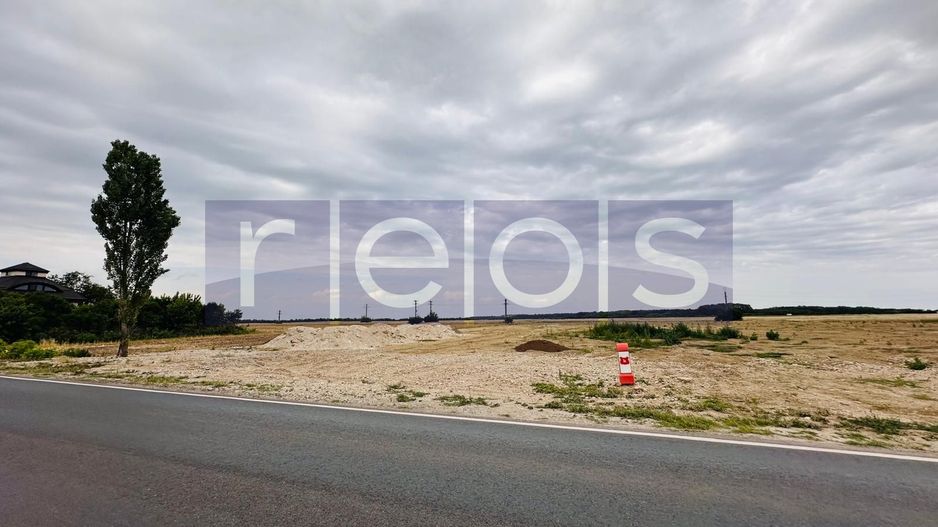 TEREN DE VANZARE CREVEDIA-COCANI 10.000 MP DESCHIDERE 70 - Poză 3