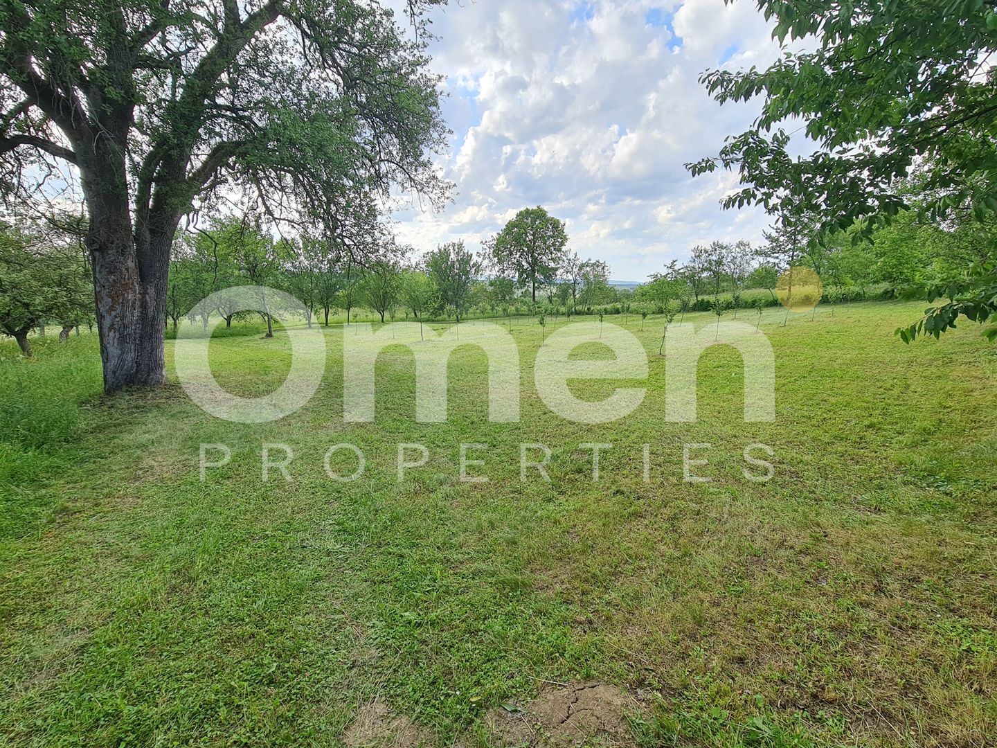 Teren intravilan în Vălenii Șomcutei, în suprafață de 1.700 mp - Poză 2