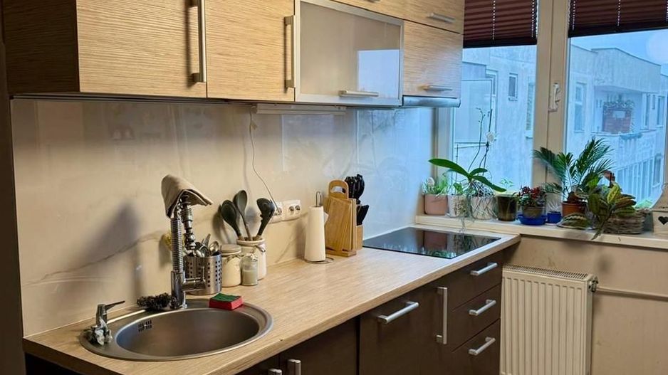 Apartament cu 4 camere cu vedere spre cris - Poză 6