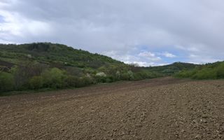 Teren extravilan arabil - Sibiu - Gusterland - Poză 4