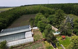 Vânzare, teren, 1.74 ha, satul Bilicenii Noi, raionul Sîngerei - Poză 4