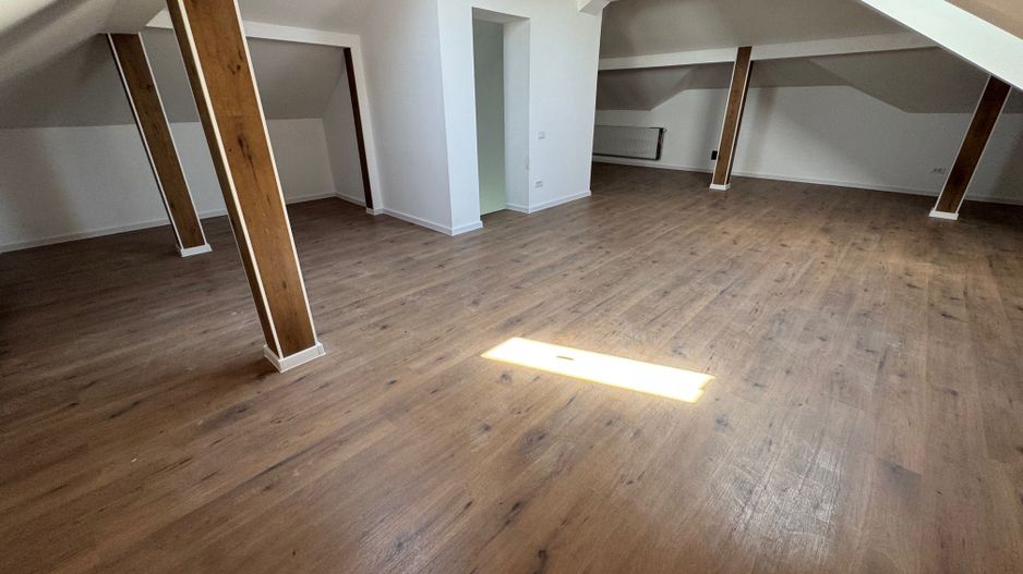 Individuala Otopeni, Odaile, curte MARE, 6 CAMERE - Poză 13