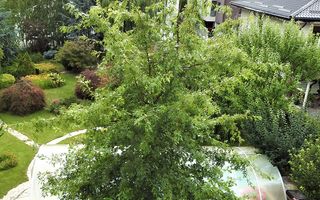 Duplex boutique, 3 dormitoare, locatie premium in  Iancu Nicolae - Poză 20