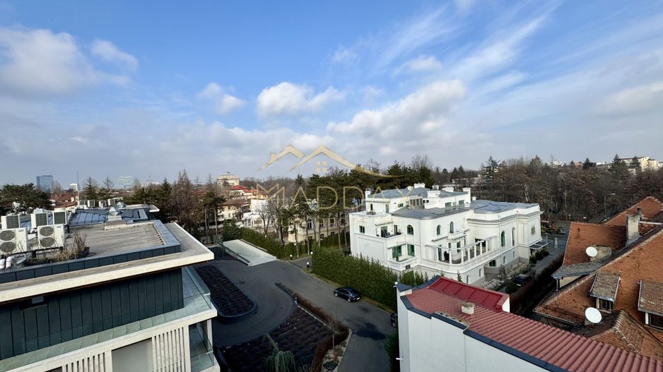 Resedinta de lux / *Kiseleff* - Poză 55