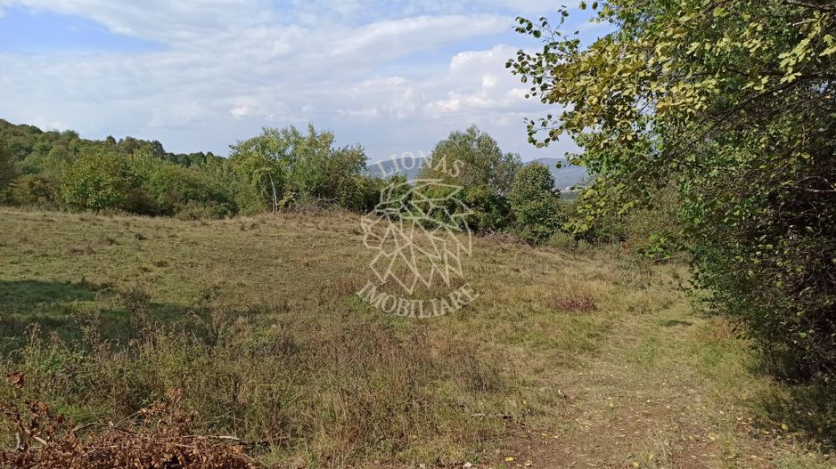 Teren  42,200 mp (4,22 hectare)-Parcelabil-investitie-Valea Jelnei - Poză 5