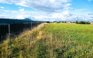 Teren intravilan, Rasnov, Brasov, 5.000+3.000 mp , vedere montana - Poză 13