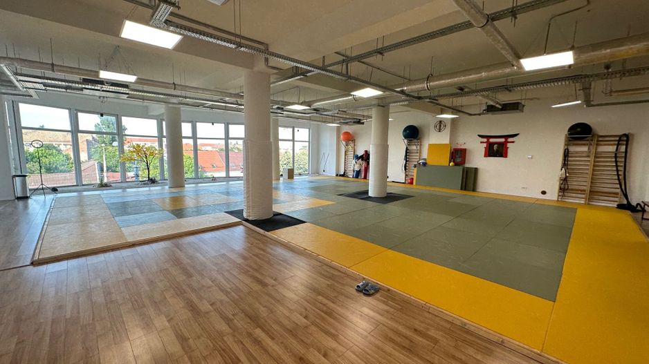 Spatiu de birou cu terasa de 295 mp - Poză 9