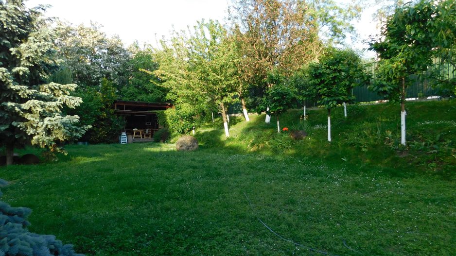 Vilă cu 1.350 mp teren în mijlocul orașului Grădina Botanică - Poză 18