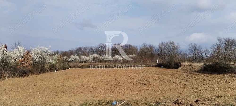 Teren intravilan 888 mp | Front 24 ml | Paleu - Poză 5