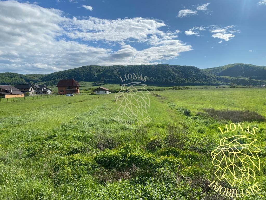 Teren intravilan-Crainimat -3000mp-ideal investitie construire casa - Poză 3