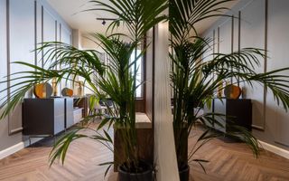 Apartament de Lux | Floreasca | Pet Friendly - Poză 3