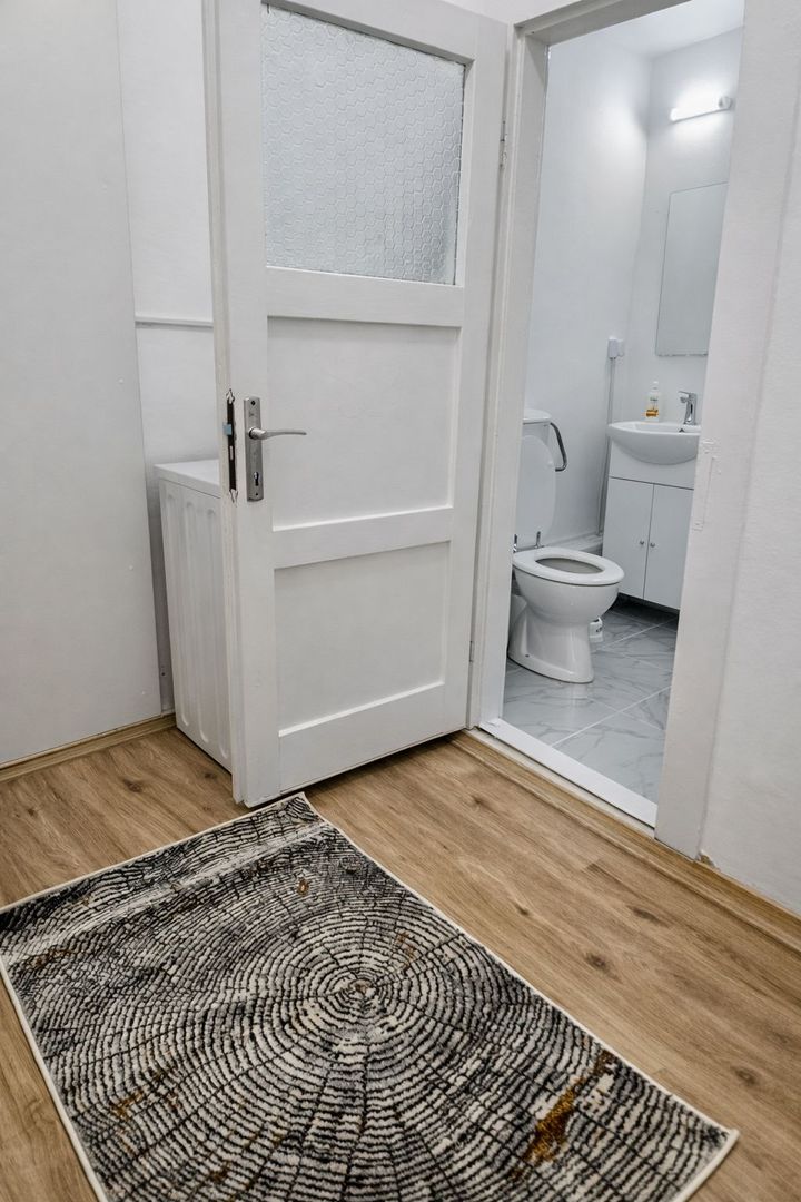 Apartament 1 Camera De Inchiriat | Ultracentral | Piata Unirii | UMF - Poză 5