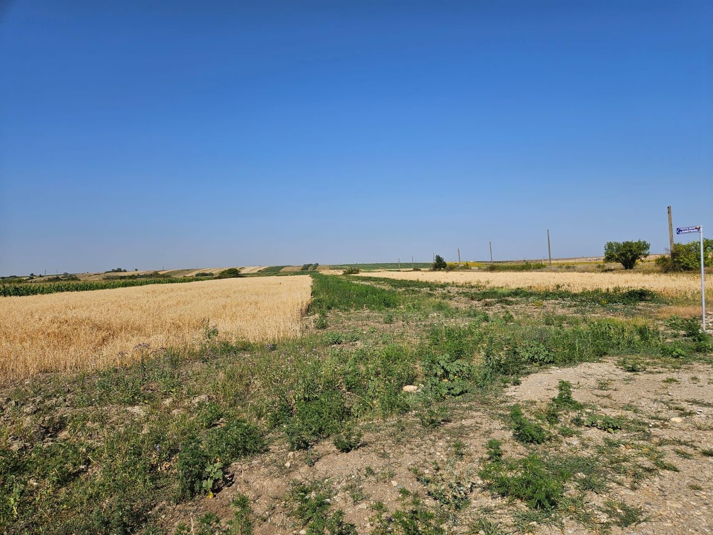 Vând teren intravilan în Bradu - 500 mp - Poză 6