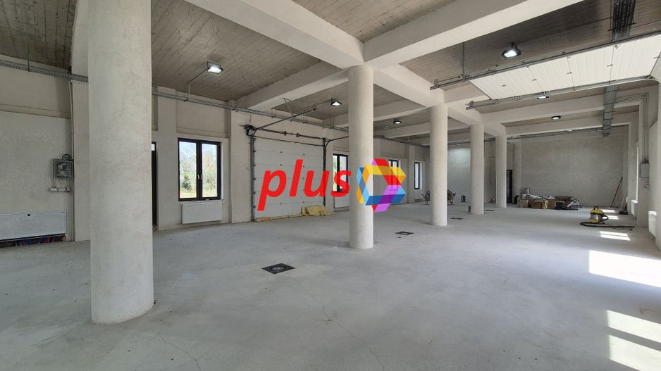 Spatiu industrial- 1240 mp  # plus-imo.ro - Poză 8