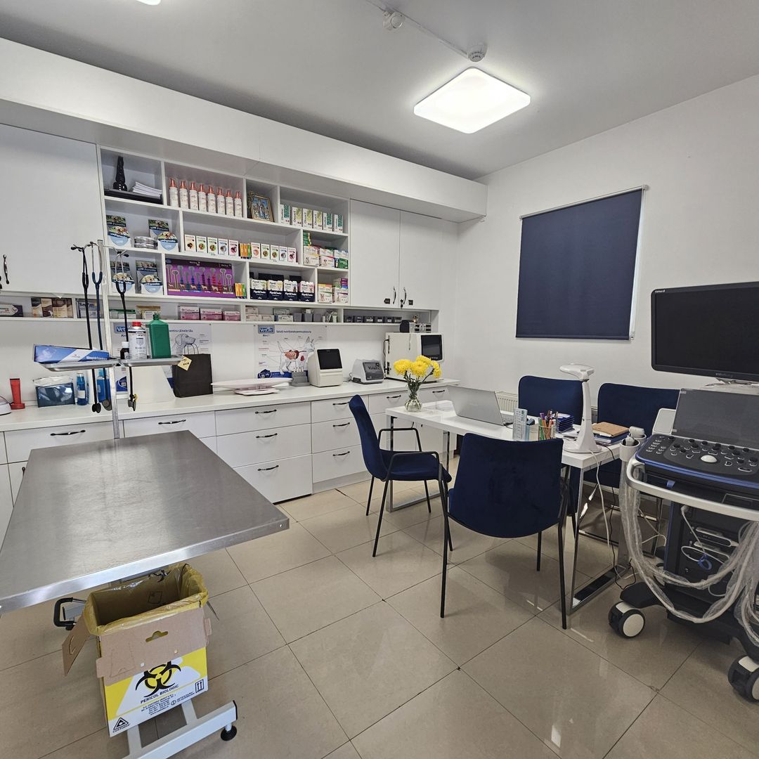 OCAZIE Spatiu Comercial Herastrau/Aviatiei - Poză 10