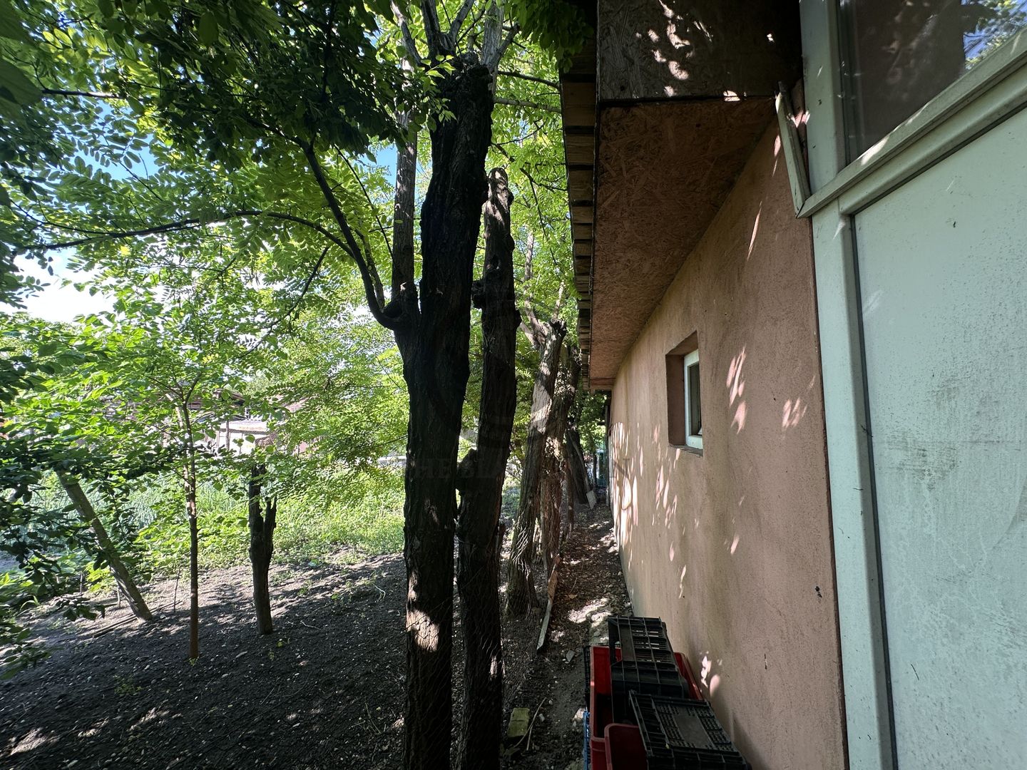 Casa 4 camere de vanzare | 660 MP teren | Mizil, Prahova | Comision 0% - Poză 24