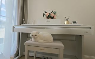 CASA MOBILATA SI UTILATA - 4 CAMERE SI 2 BAI - COMUNA BERCENI - Poză 3