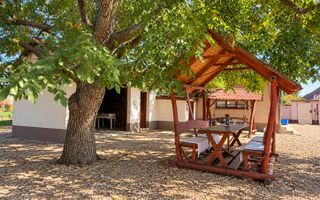 Teren intravilan agricol | 7029 mp | Satu Nou | Bihor - Poză 2