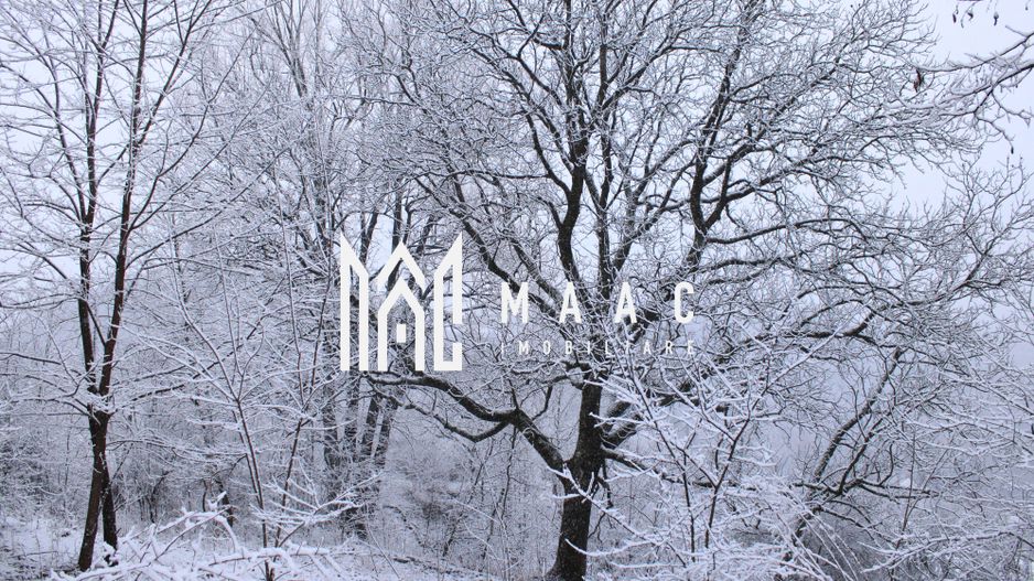 Teren cu izvor de apă minerală  Dangești, Punctul Valea Mare - Poză 34