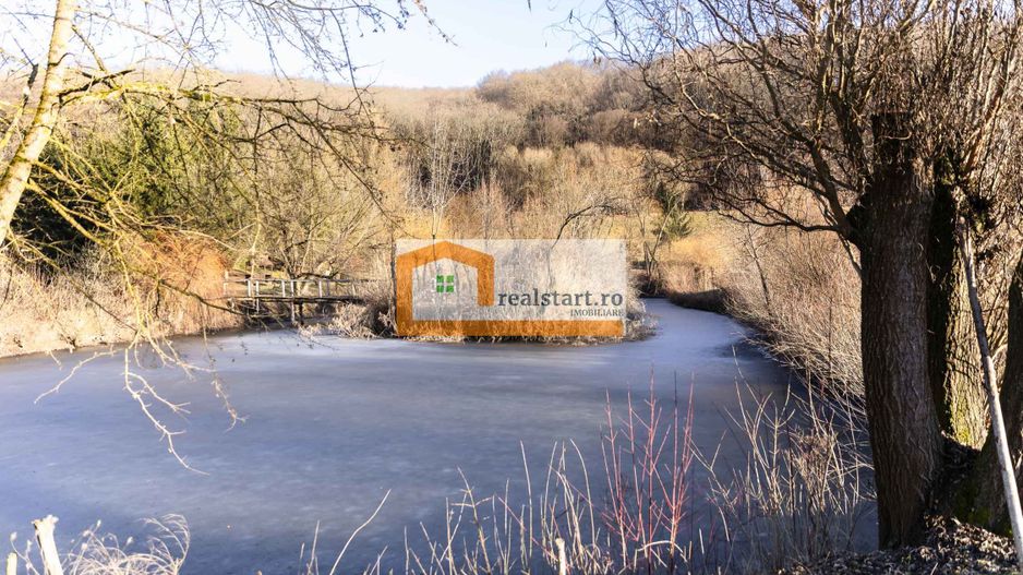 Langa Sighisoara,  Vedere la Padure, si iazuri proprii, 1,8ha teren, ROI9% - Poză 17