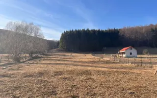 Teren intravilan 4521mp lângă pădure-valea Doftanei -Calea Brasovului - Poză 13