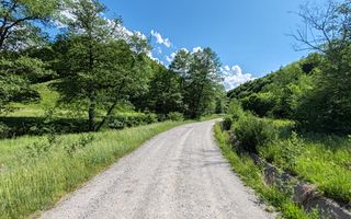 1,3 HA TEREN EXTRAVILAN FANEATA, in Muntii Apuseni, Negreni, jud. Cluj - Poză 4