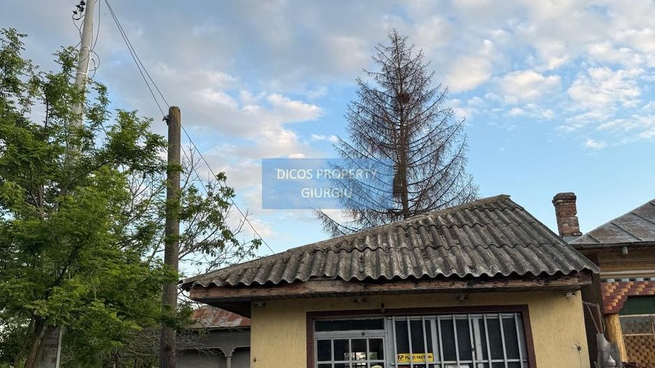 Casă + Spațiu Comercial – Oinacu, 2.658 mp teren - Poză 3