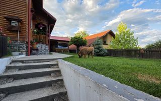 Casa P+M cu 4 camere  si 485 mp teren pe Dealul Malului, Rm Valcea - Poză 5