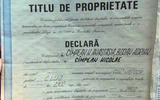 Vanzare teren itravilan Sanmartin,com. Chinteni CJ - Poză 7