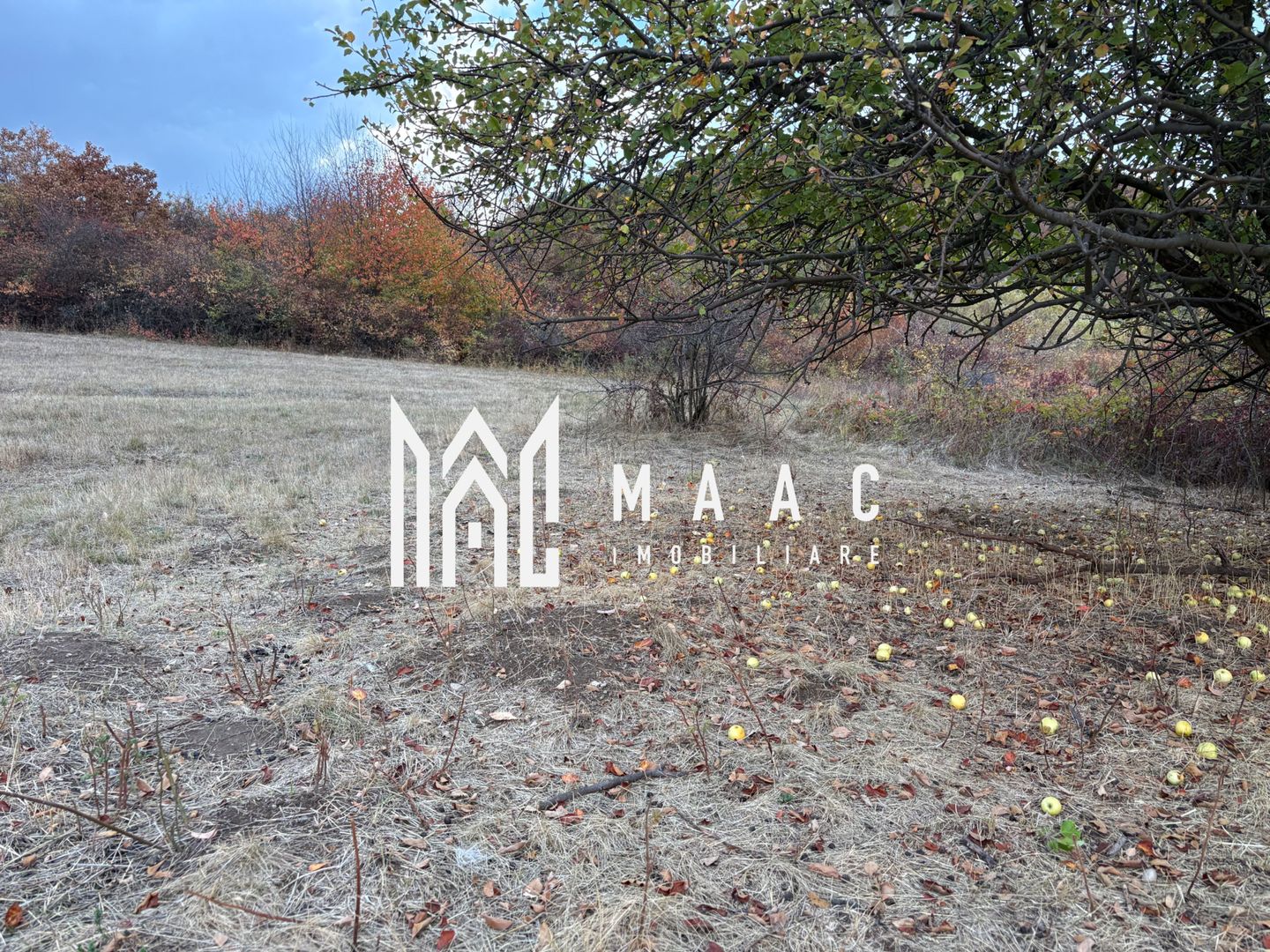 Teren de vânzare 5.000 mp | Poplaca | lângă pădure - Poză 1