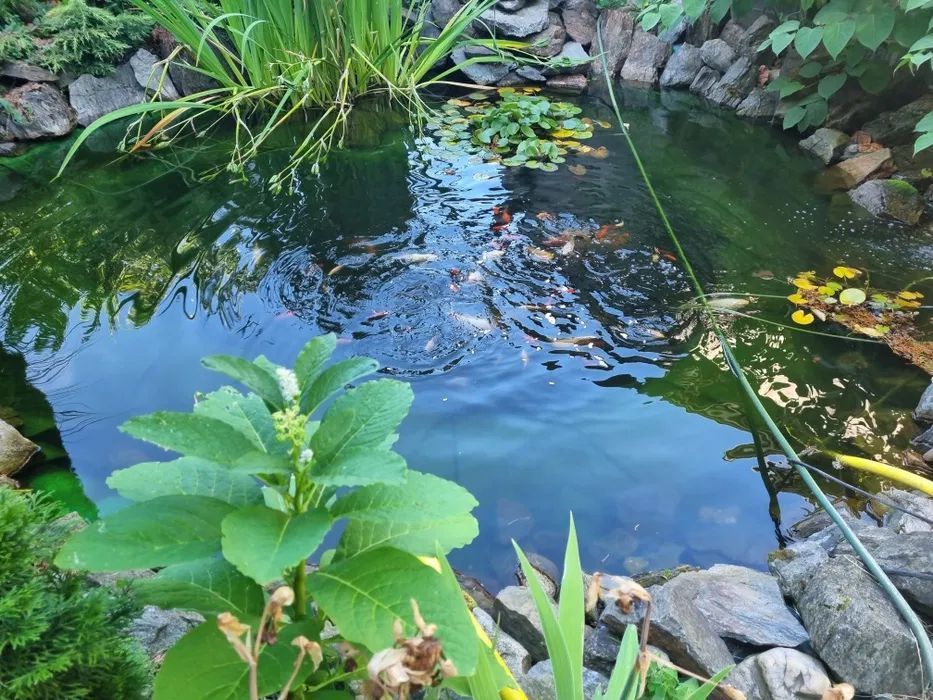 Casa cu 4 camere | Gruia | Parcare Proprie - Poză 7