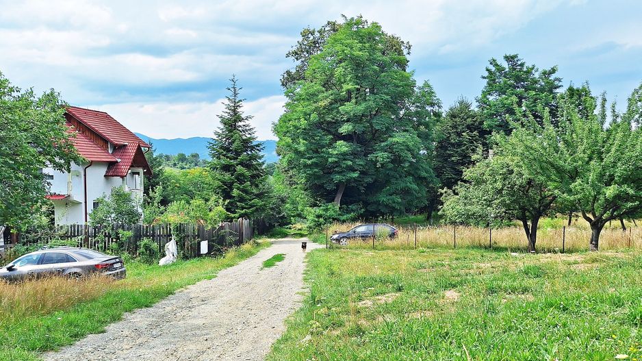 Bran- Predelut, 1000mp teren pentru casa de vacanta, pret 45 euro/mp - Poză 7