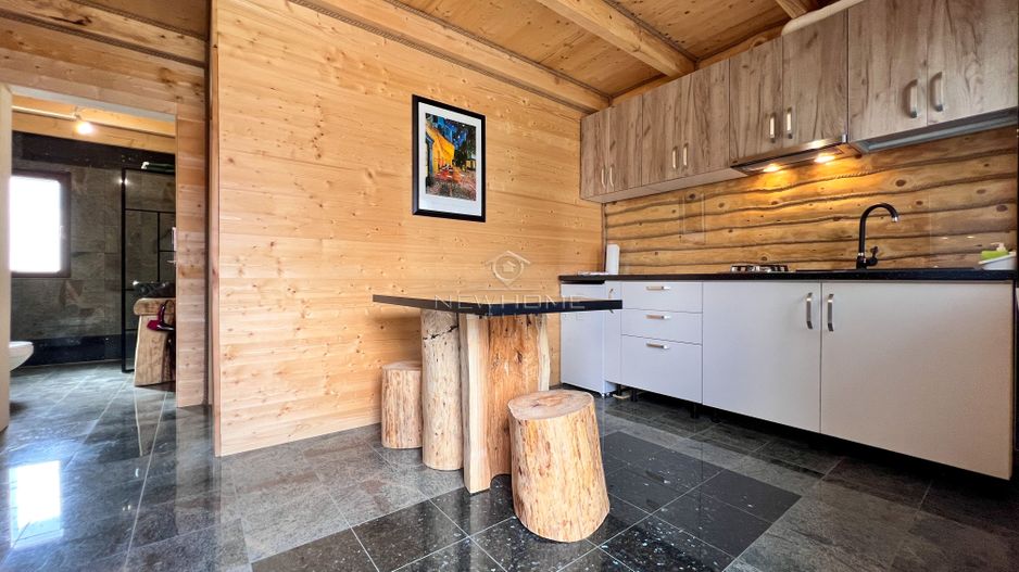 Apartament 1 camera in regim hotelier, Casa TIMIS - Poză 2