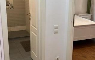Inchiriere 2 camere/Nerva Traian/Proximitate Metrou/Pet Friendly - Poză 5