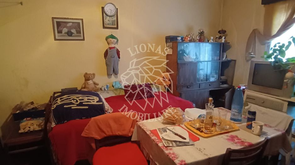 Apartament 5 camere cu teren 266 mp, nivel parter - zona Eroilor - Poză 6