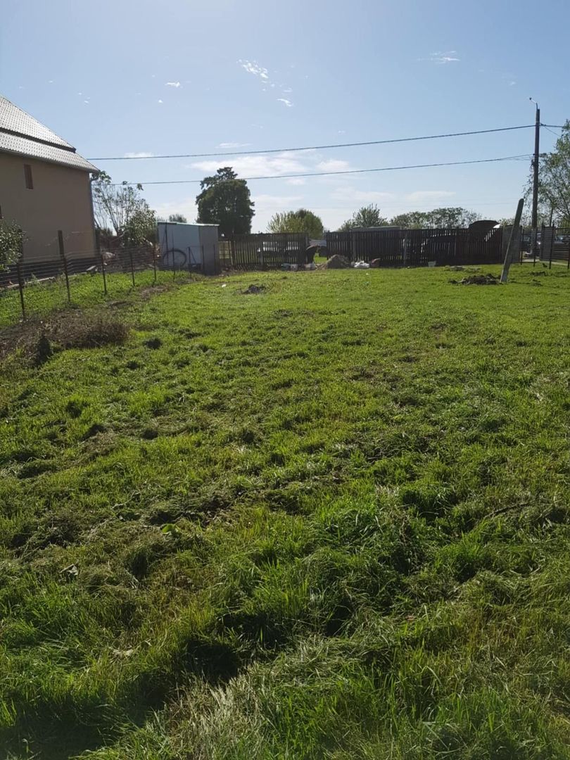 Teren Intravilan Becicherecu Mic In Vatra Satului,1000 mp,Fs. 14m - Poză 1