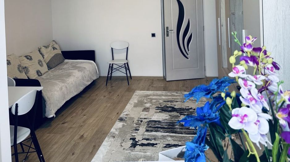 1 camera-Renovată și mobilată-30 mp- Nicolae Grigorescu - Poză 2