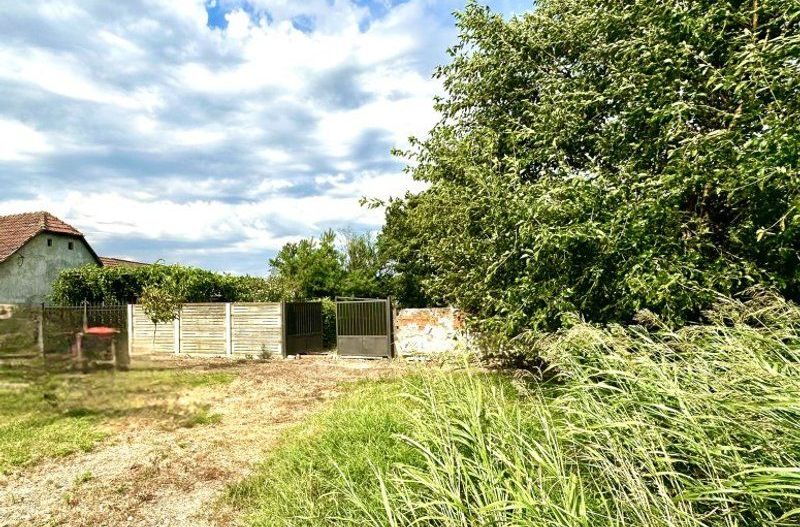 Teren edificabil în Pădureni - vatra satului - Poză 7