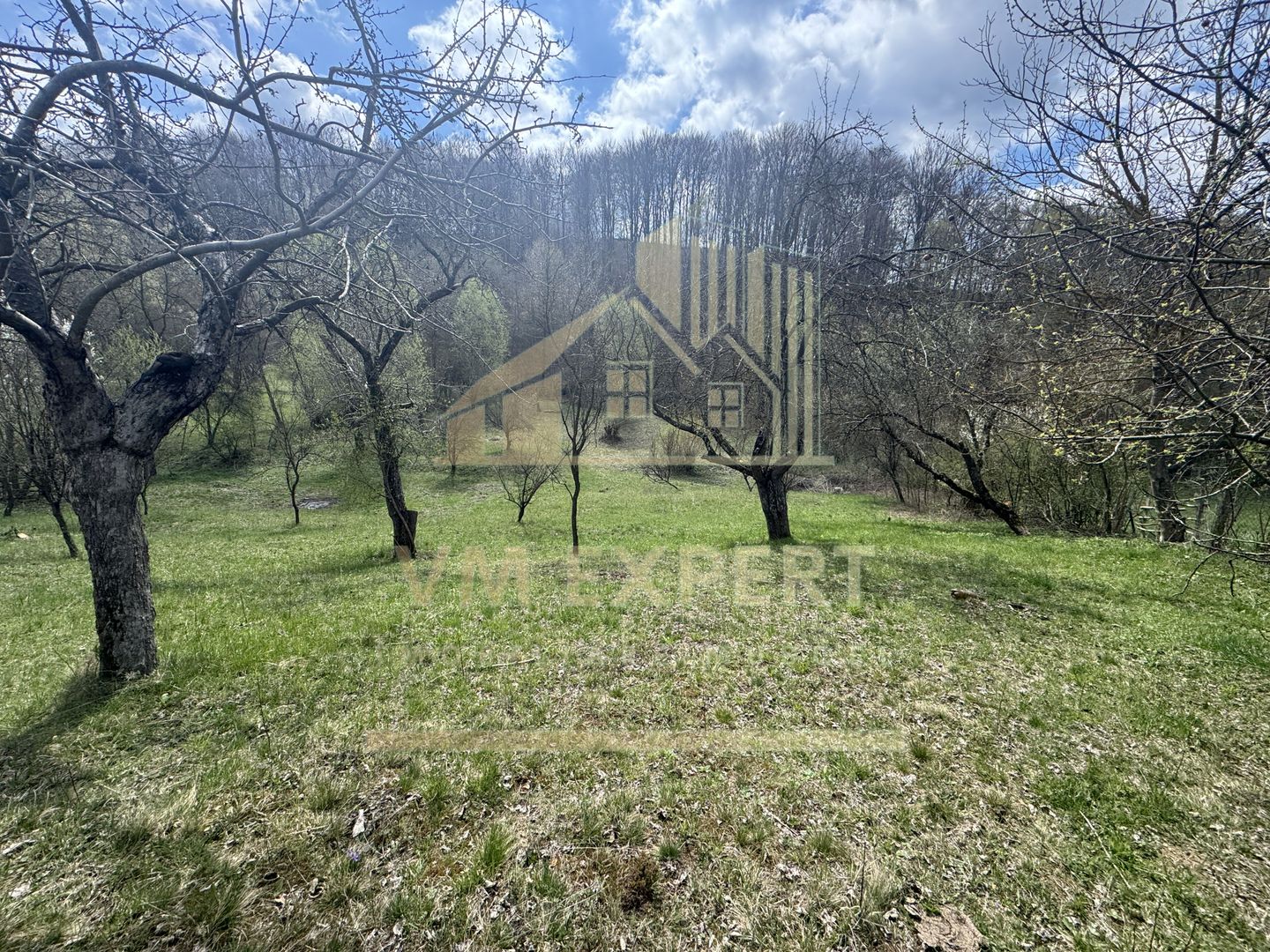 TEREN INTRAVILAN 4365 MP POENARII DE MUȘCEL  JUDEȚUL ARGES - Poză 24