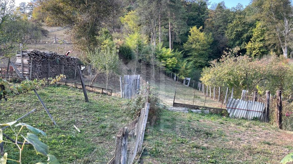 Casa de vanzare - teren 1400 mp - Laslea , Sibiu - Poză 2