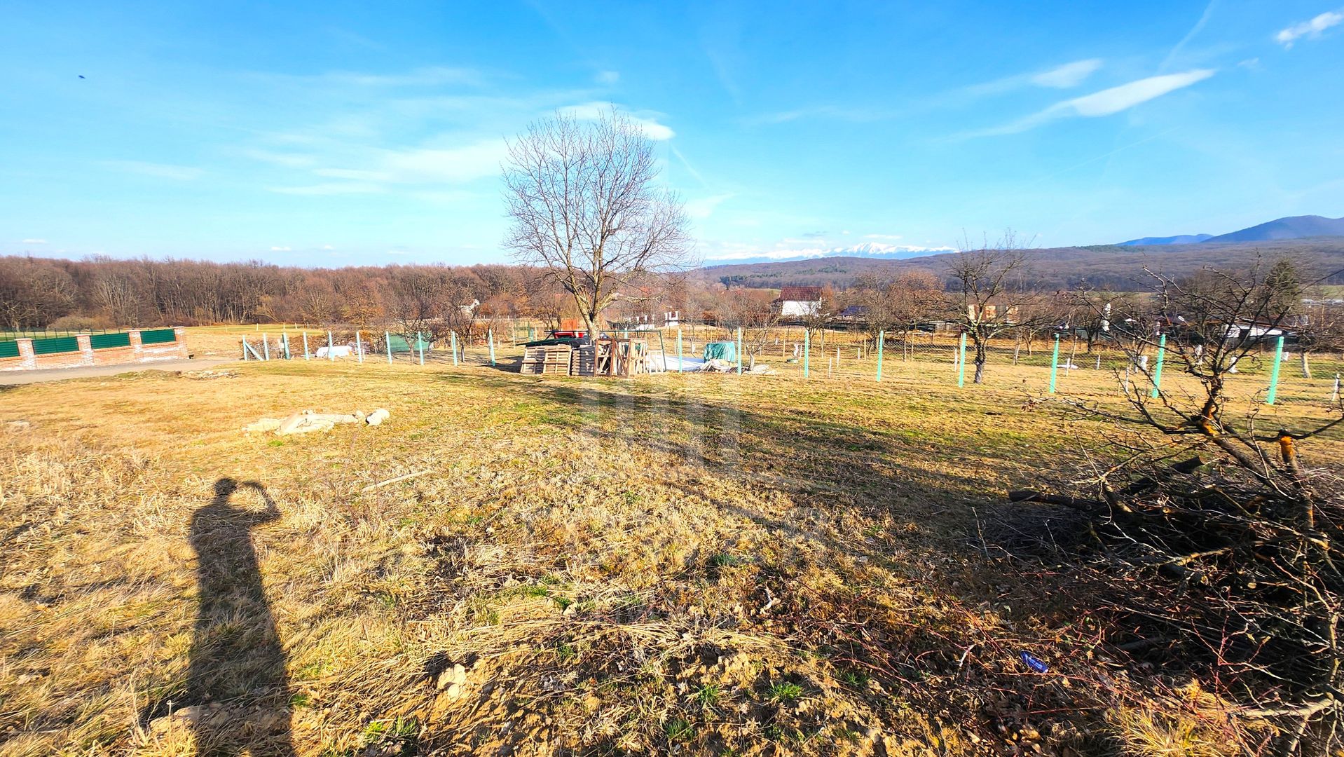 Teren intravilan 1079 Zona Tropinii noi - Poză 5